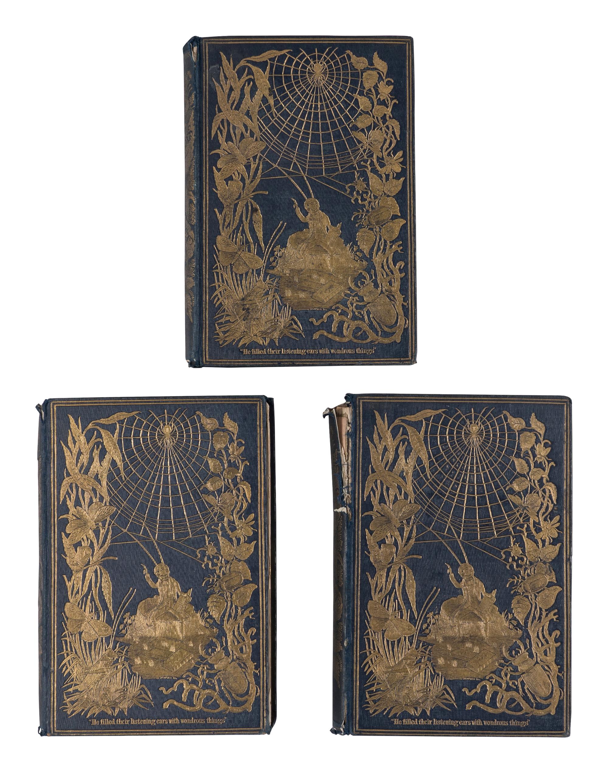 [NATURAL HISTORY]. BUDGEN, Louise M. Episodes of Insect Life. London: Reeve, Benham, and Reeve, 1849-1851.