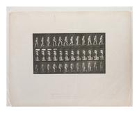 15 Plates from Animal Locomotion , 1887