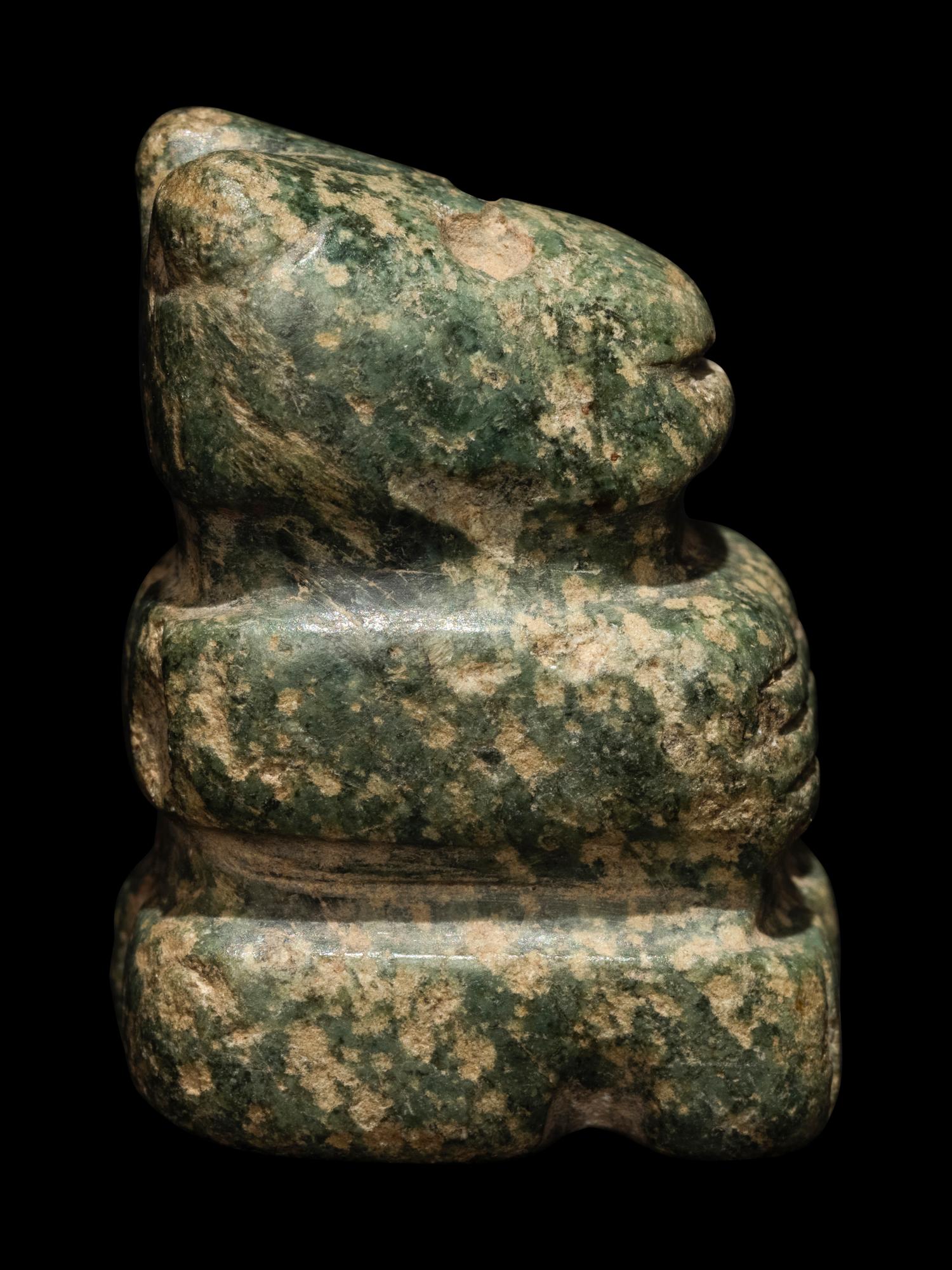 An Nicoya Serpentine Animal