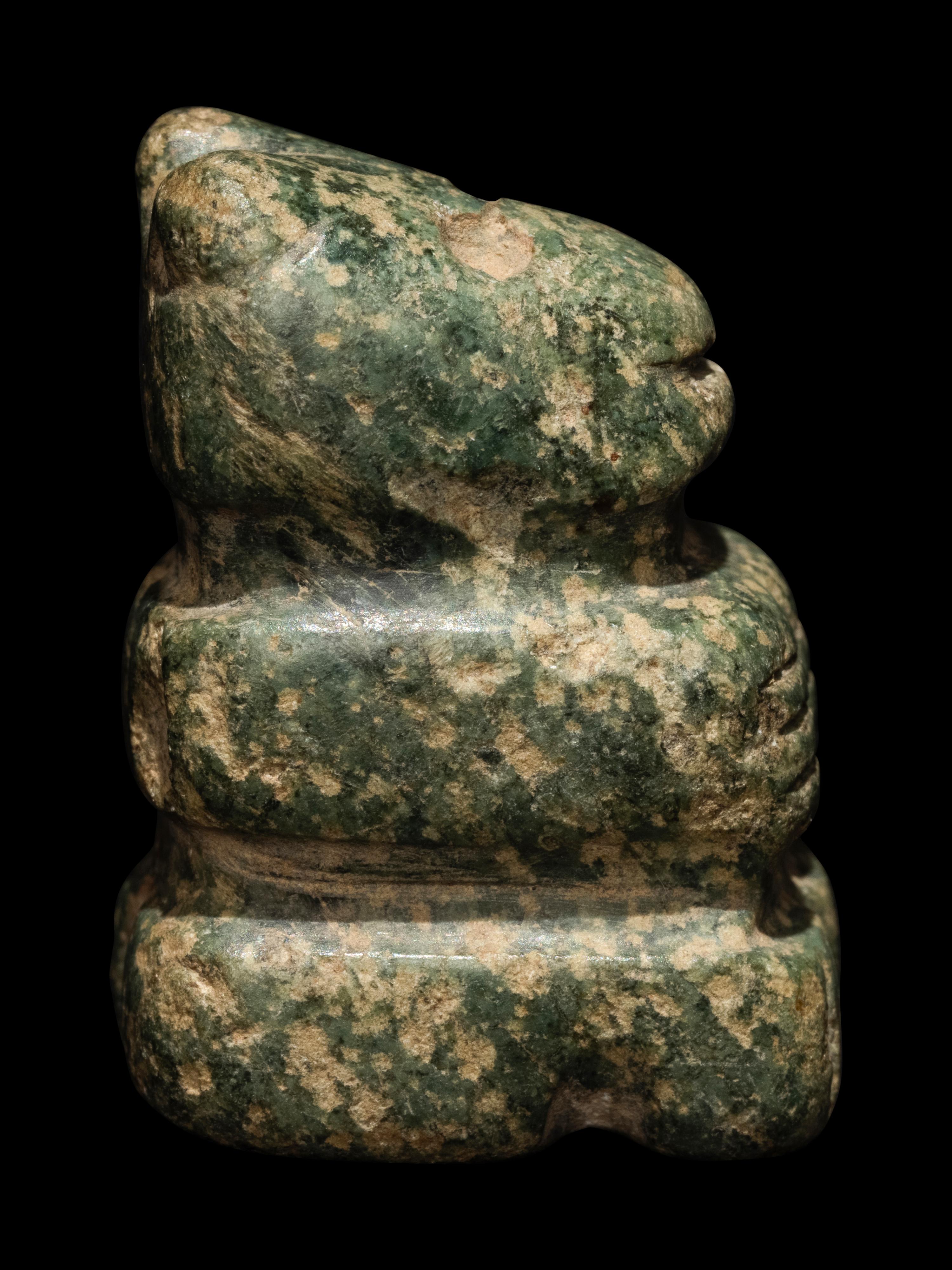 An Nicoya Serpentine Animal