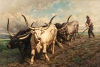 Bulls at the Plough