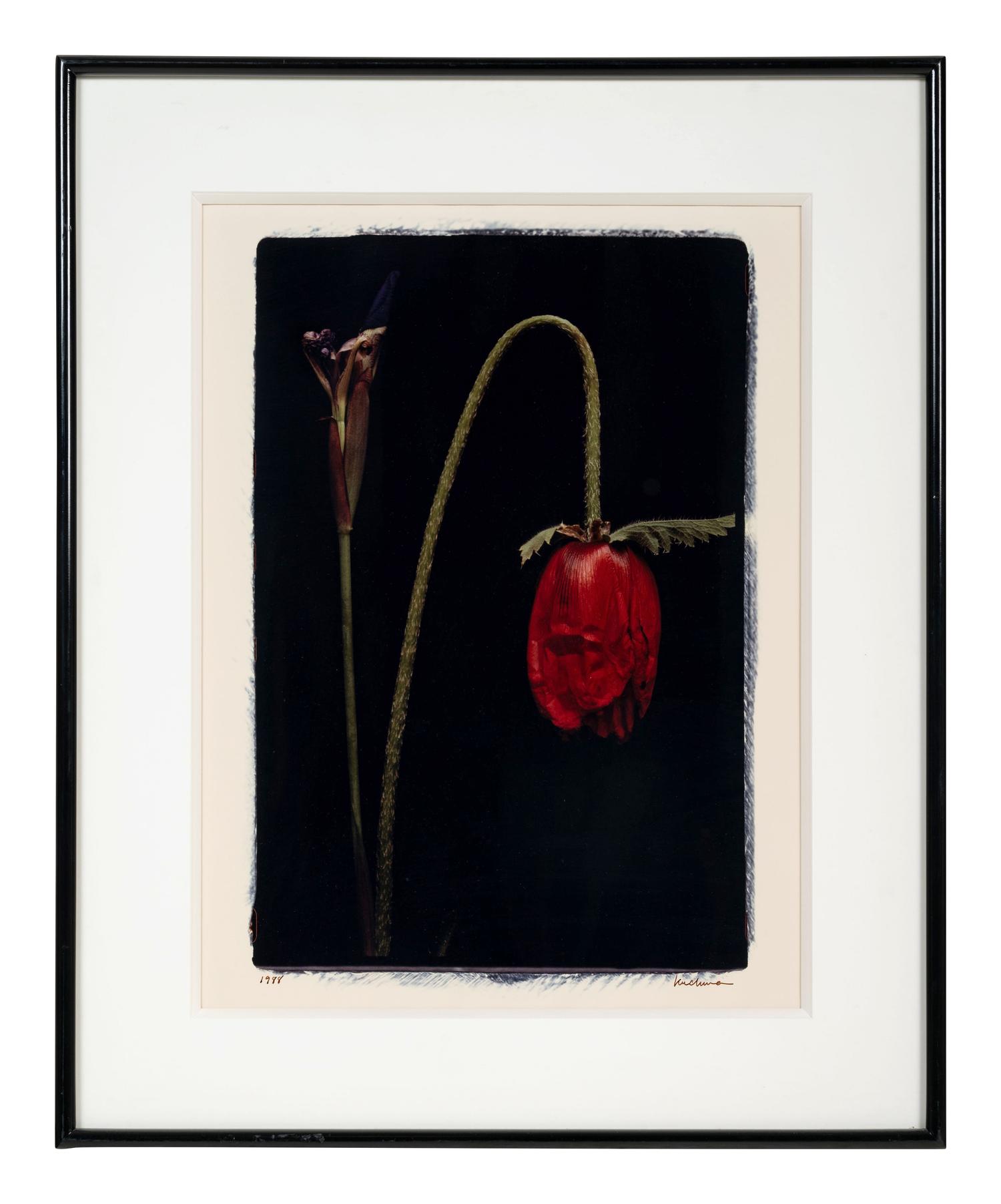 White Orchid One and Untitled (A Pair of Works)
