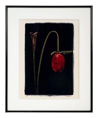 White Orchid One and Untitled (A Pair of Works)