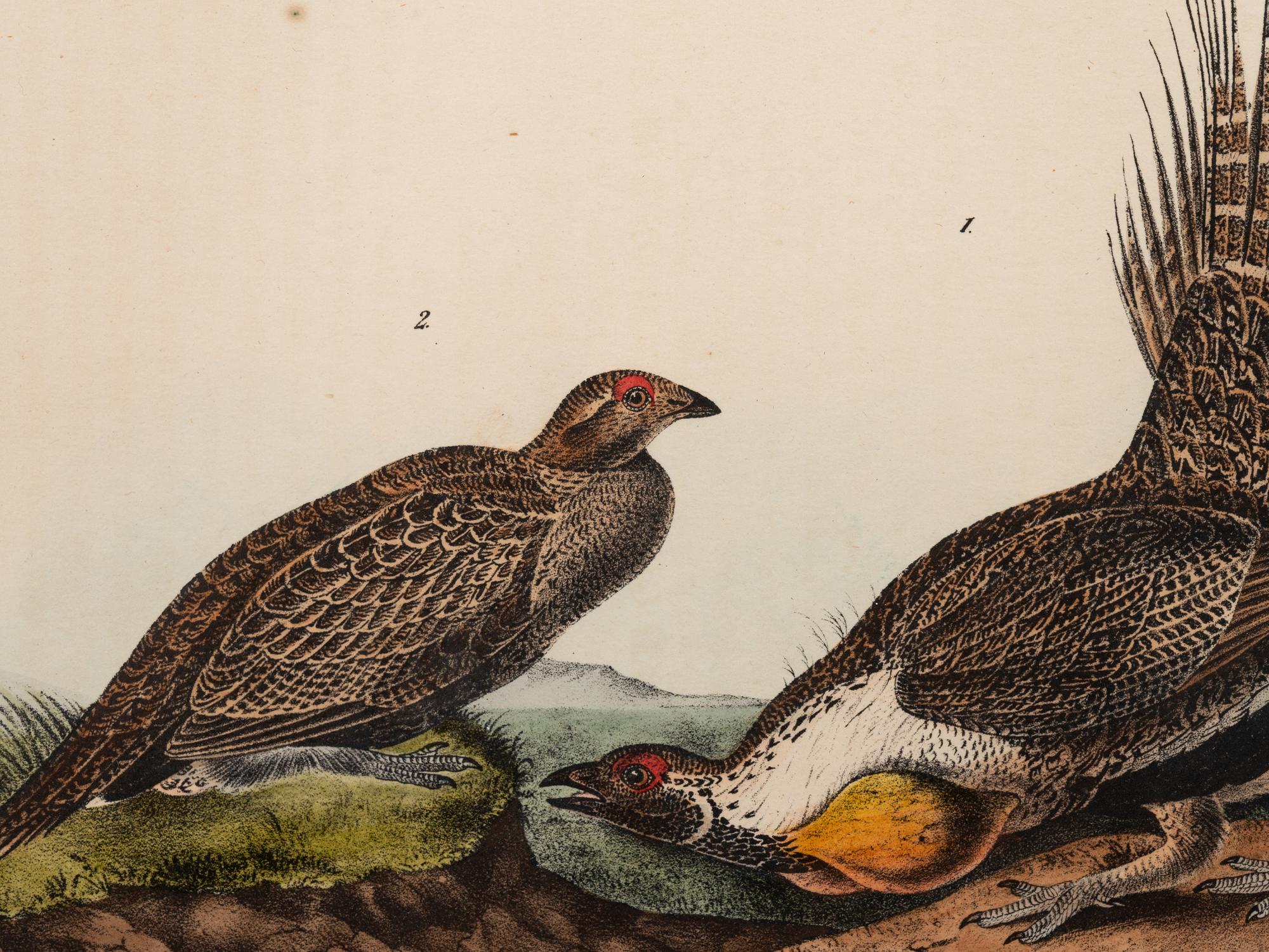 Grouped, see item 1 | A Group of Four Prints of Ground Fowl and Woodpeckers, after John James Audubon (1785-1851)