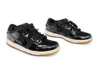 Dunk Low Pro SB Space Jam