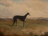 British School (19th Century)- Greyhound in a Landscape