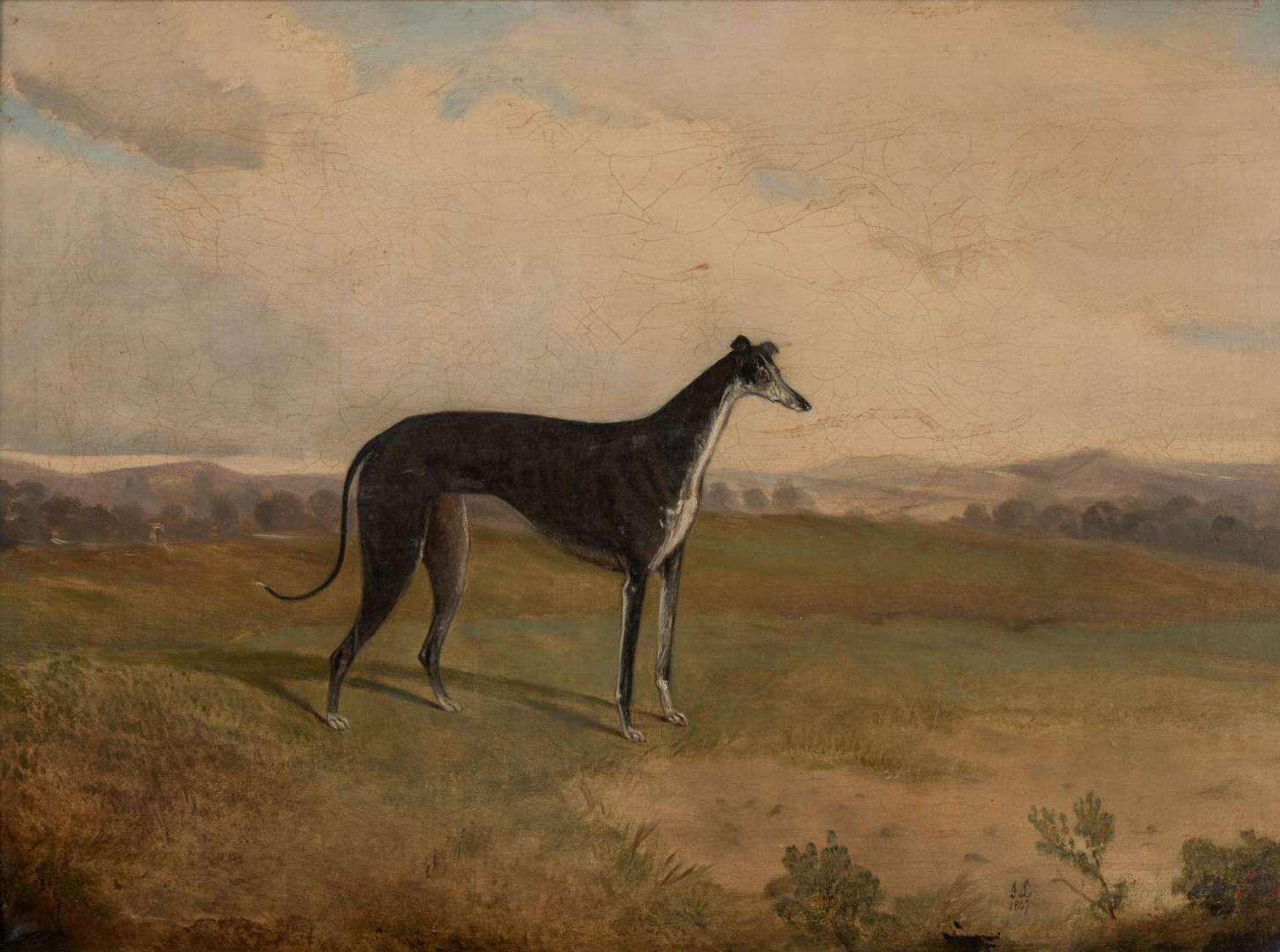 British School (19th Century)- Greyhound in a Landscape