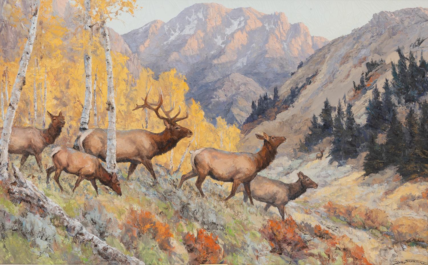 Majestic Elk