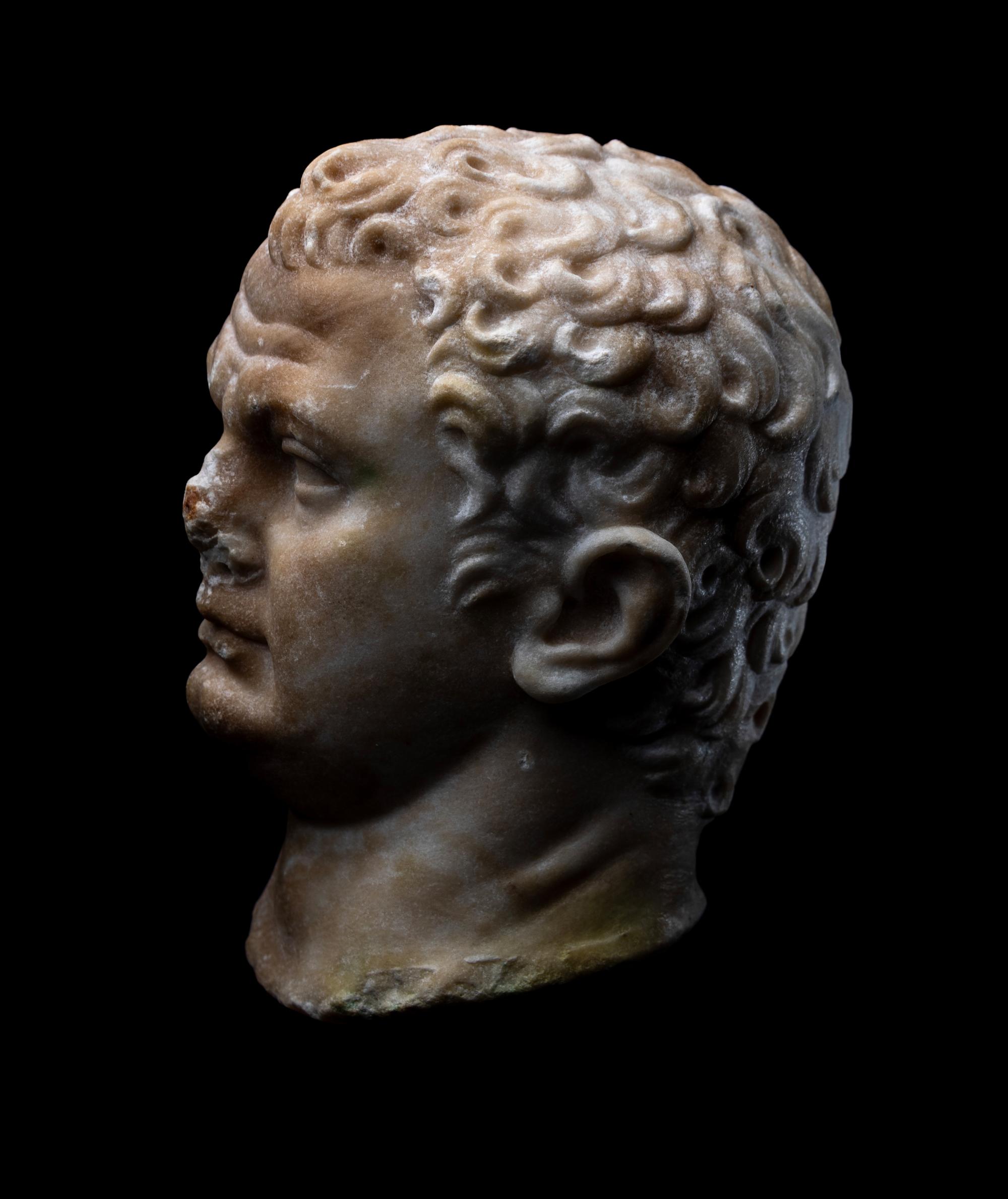A Roman Marble Portrait Head of the Emperor Titus