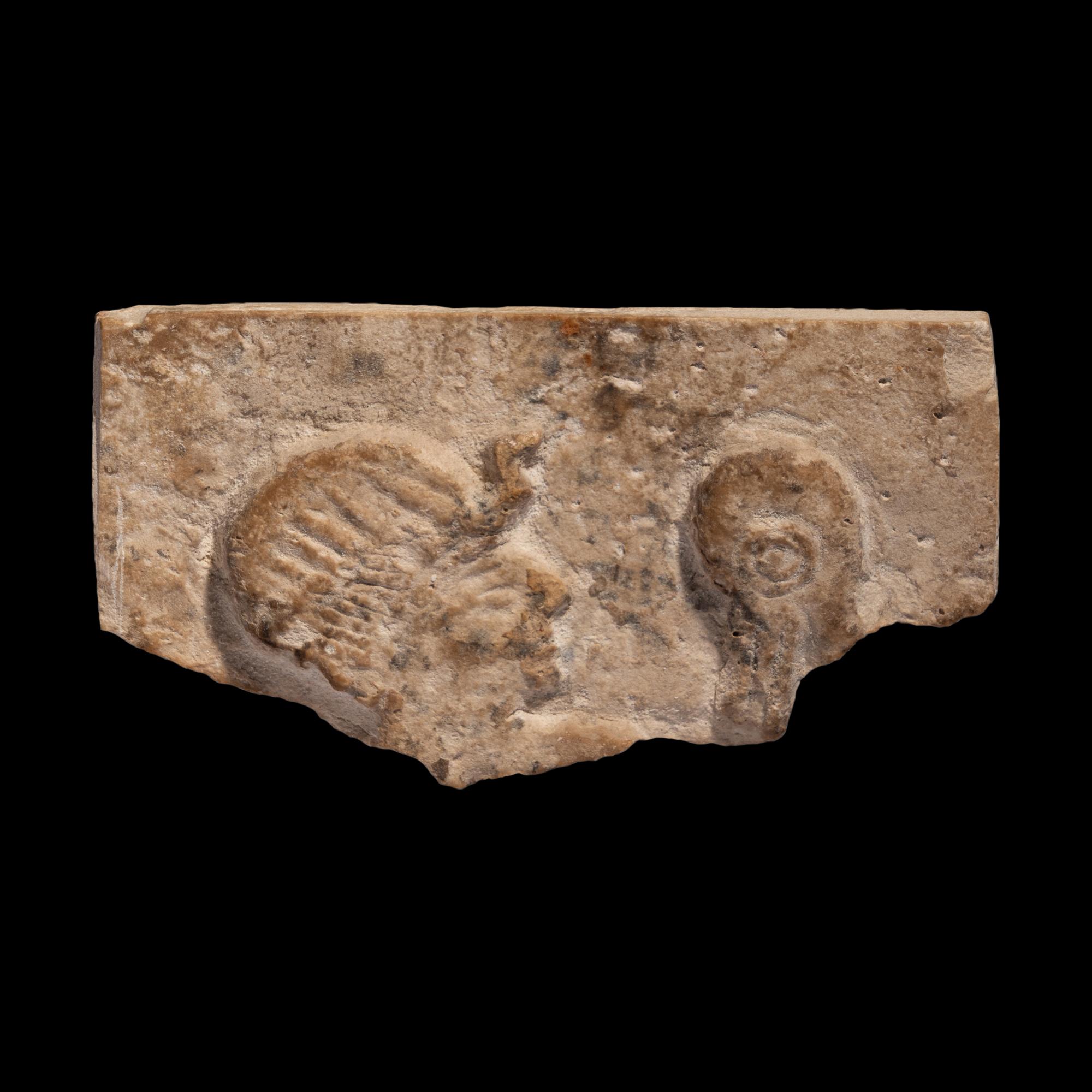 An Egyptian Limestone Relief Fragment with the Head of a Pharaoh