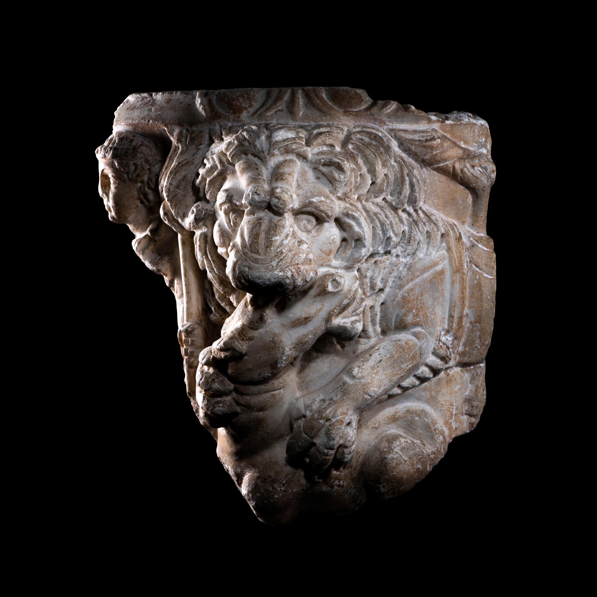A Roman Marble Sarcophagus Fragment with a Lion