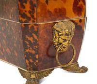 A Regency Tortoise Shell Veneered Tea Caddy