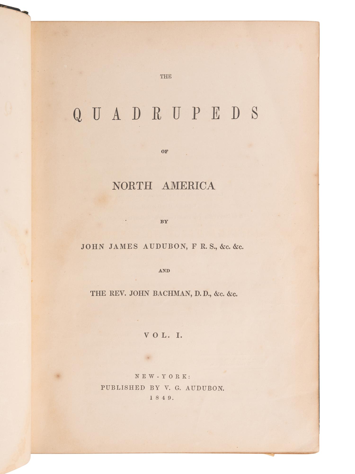 AUDUBON, John James (1785-1851) and John BACHMAN (1790-1874). The Quadrupeds of North America . New York: V. G. Audubon, 1849-1851-1854.