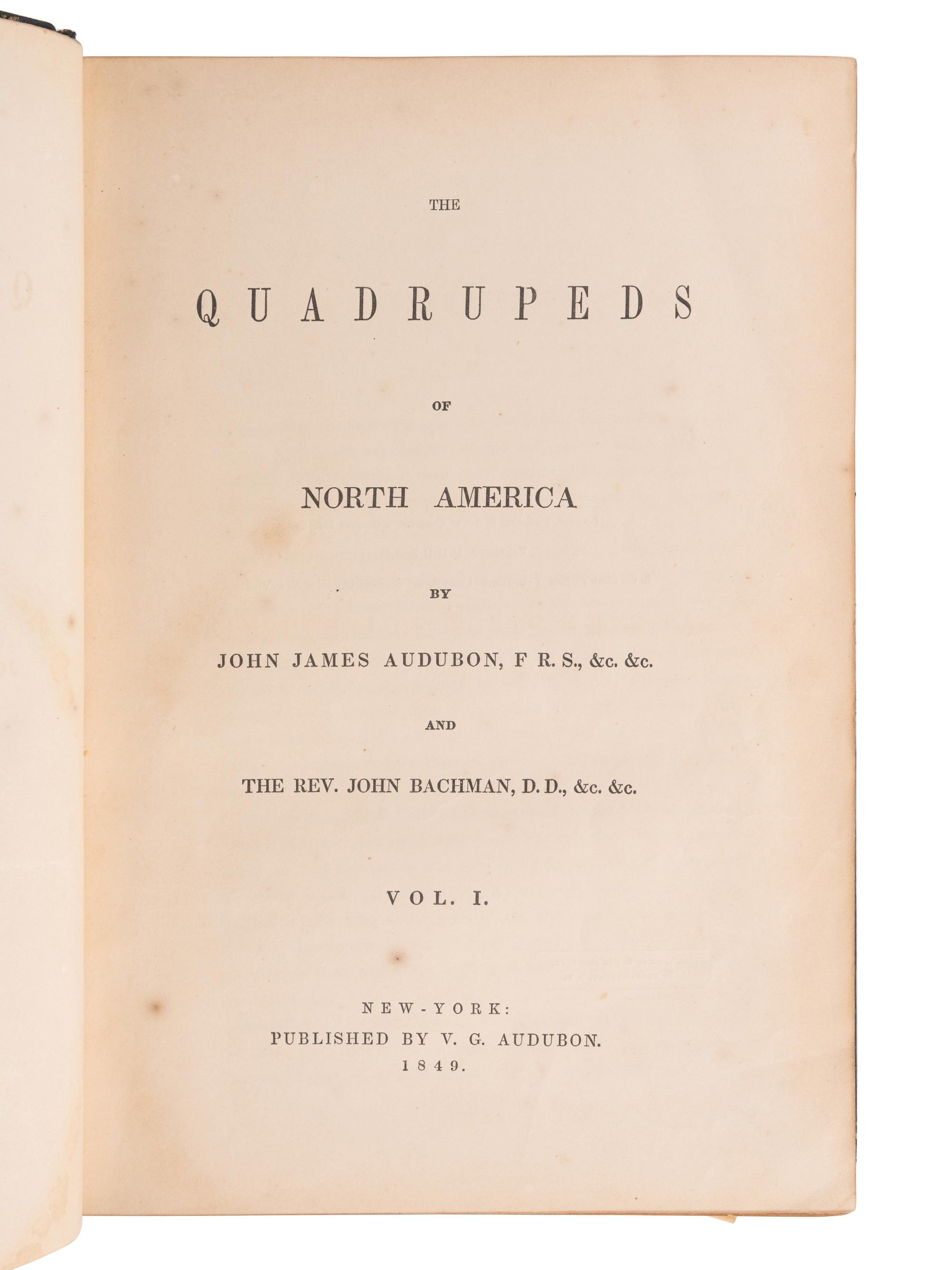 AUDUBON, John James (1785-1851) and John BACHMAN (1790-1874). The Quadrupeds of North America . New York: V. G. Audubon, 1849-1851-1854.