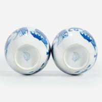 A pair of Chinese blue and white-decorated porcelain small ovoid vases