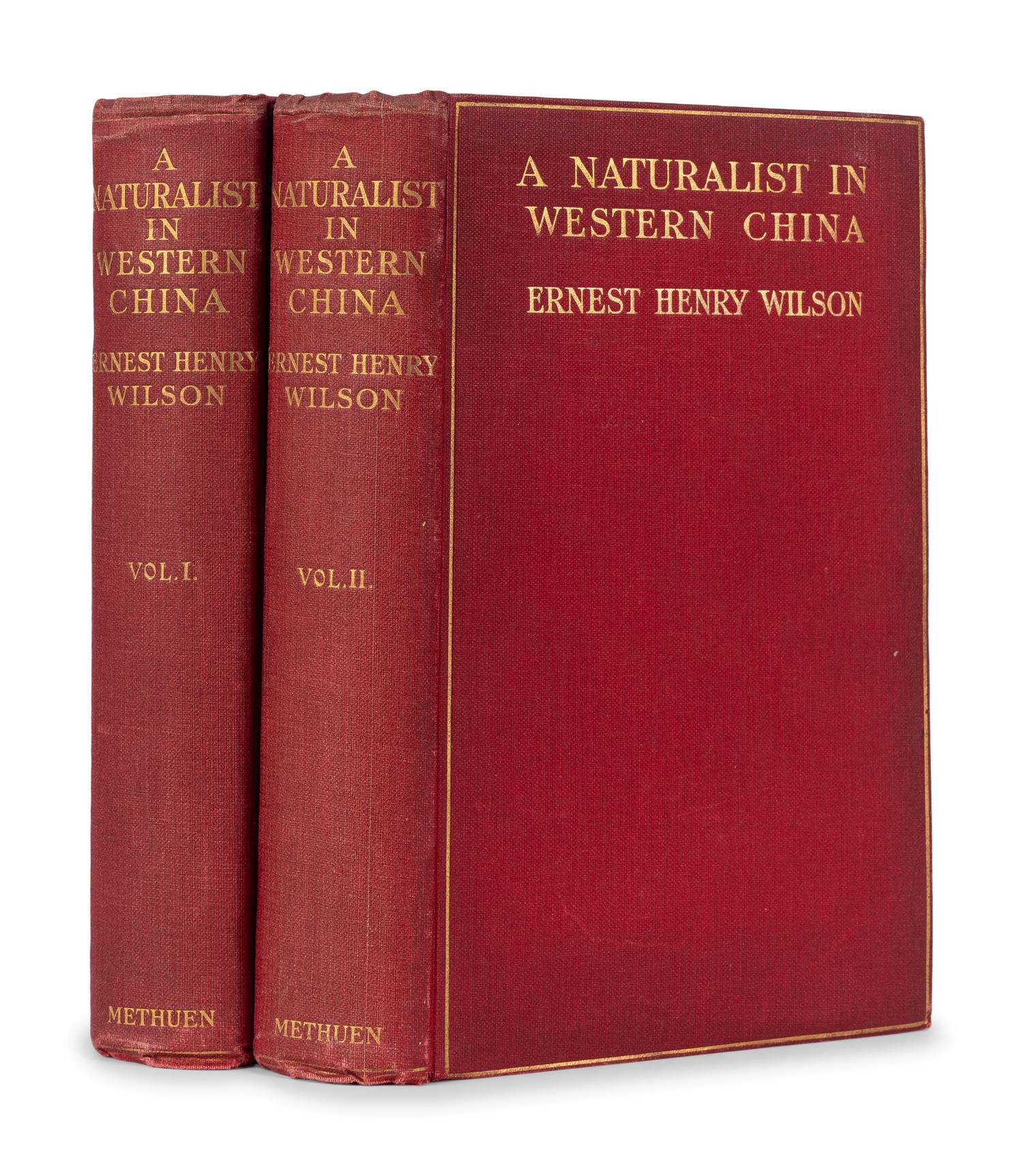 [EXPLORATION -- CHINA]. WILSON, Ernest Henry (1876-1930). A Naturalist in Western China with Vasculum, Camera and Gun. Being some account of eleven years' travel, exploration, and observation in the more remote parts of the Flowery Kingdom . London: Methuen & Co., Ltd., 1913.