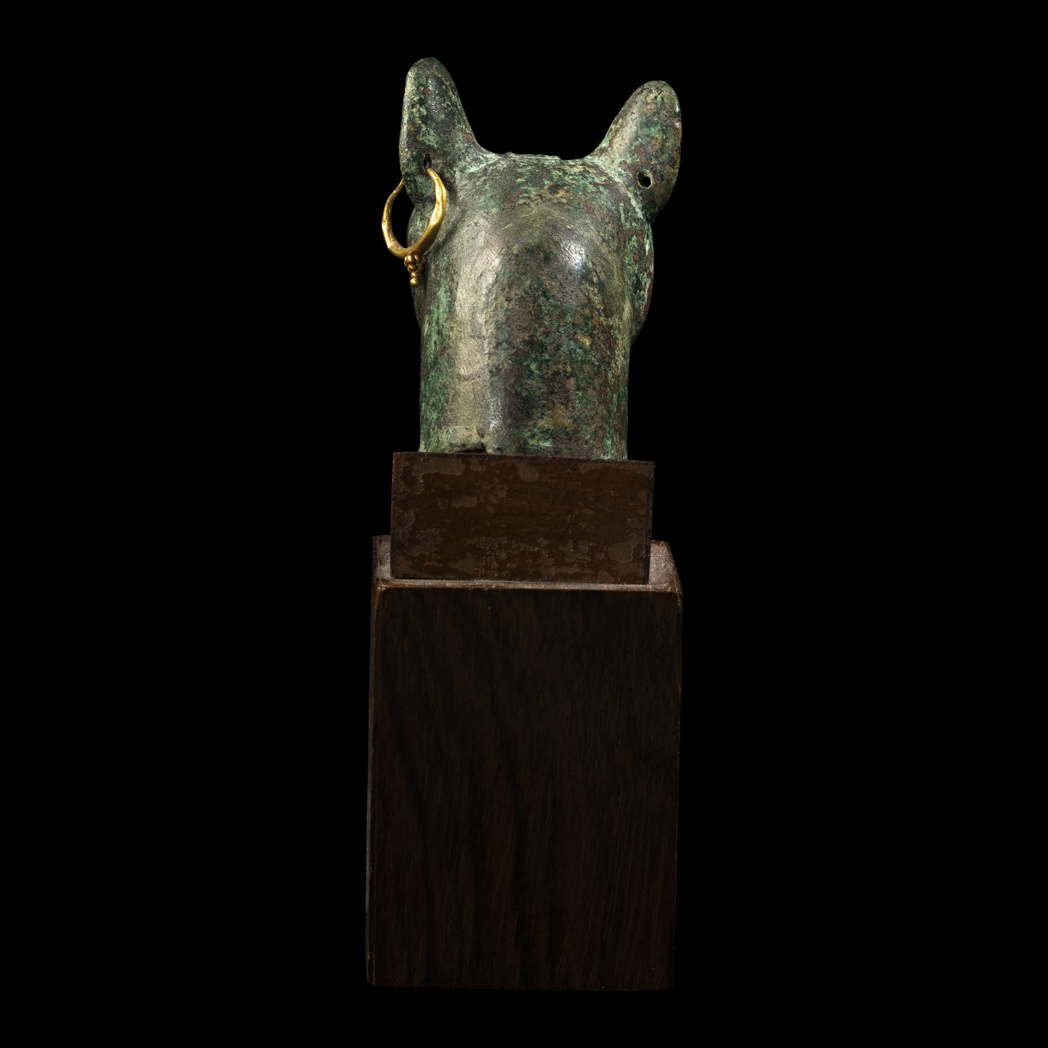 An Egyptian Bronze Head of a Cat
