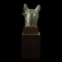 An Egyptian Bronze Head of a Cat