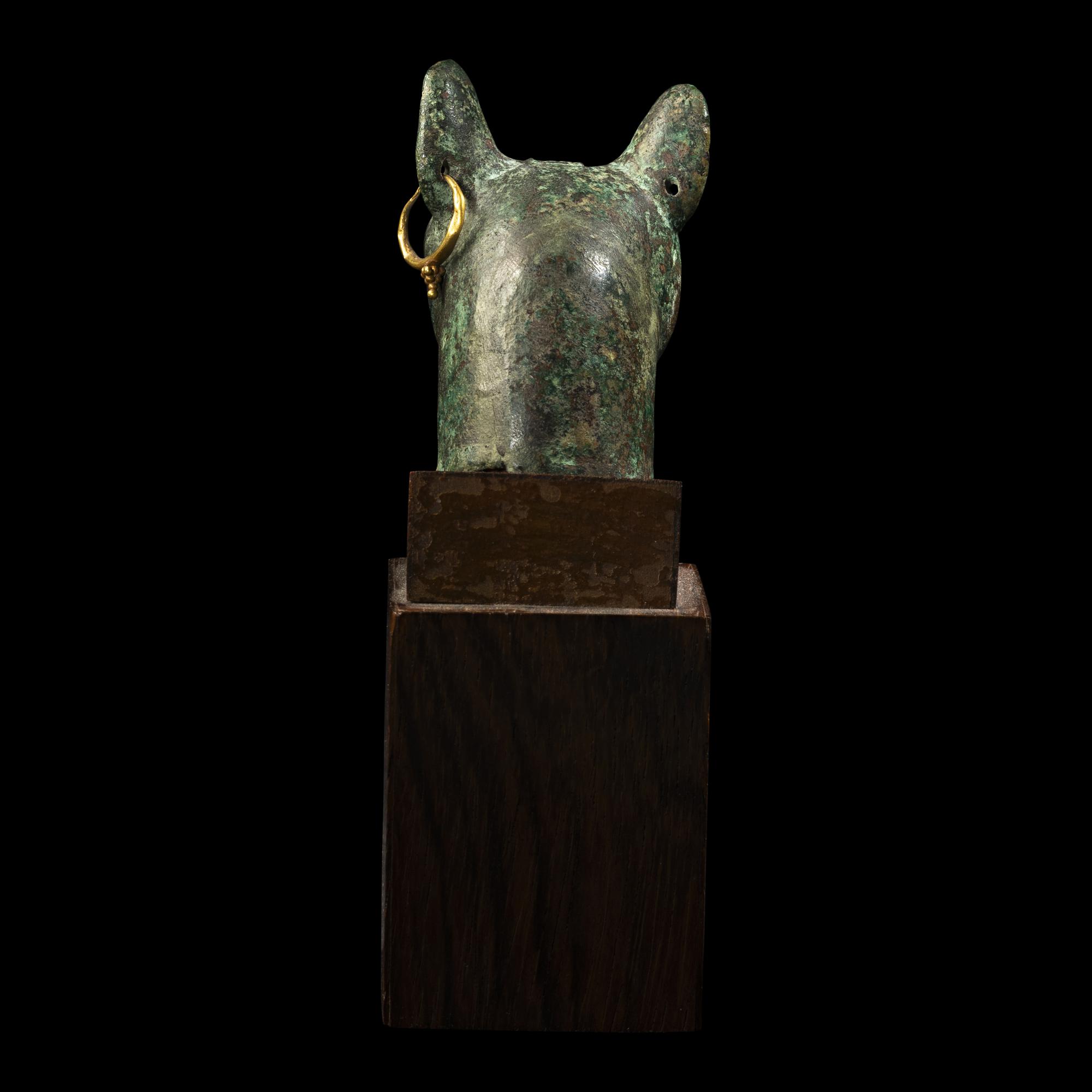 An Egyptian Bronze Head of a Cat