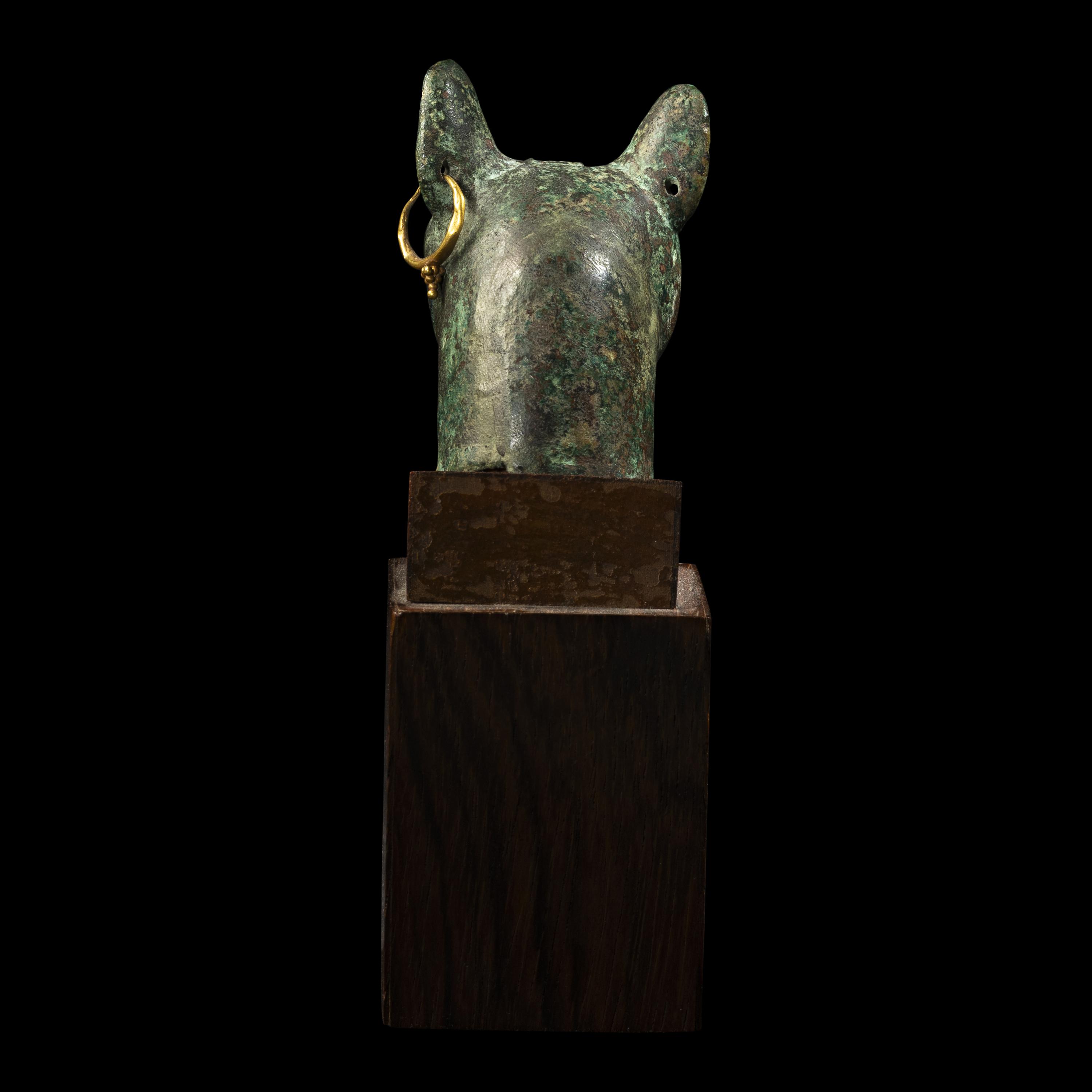 An Egyptian Bronze Head of a Cat