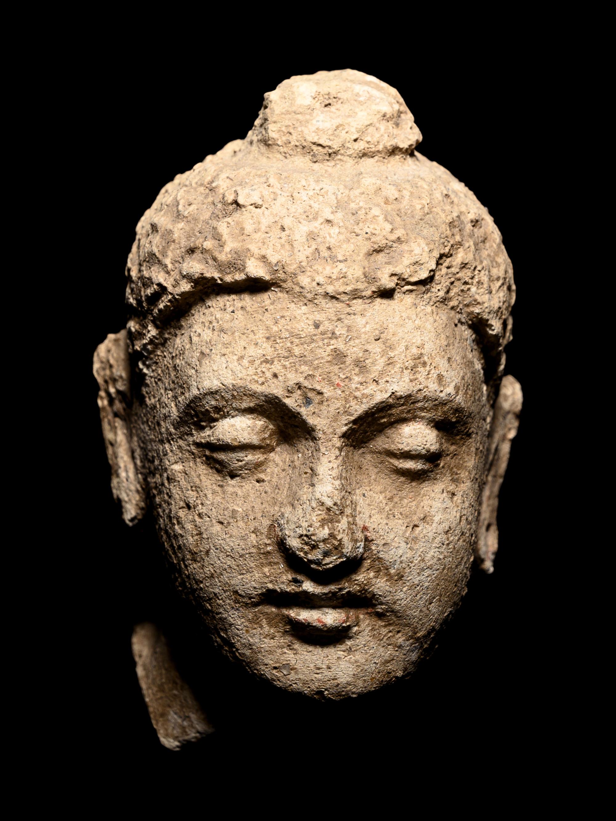 Four Gandharan Fragmentary Stucco Heads and One Bust