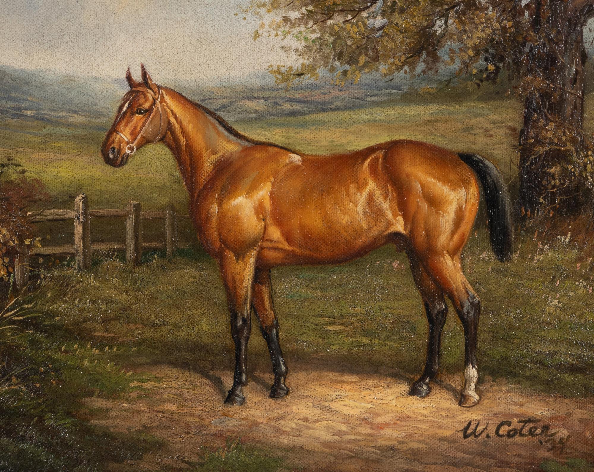 W. Coter (20th Century)