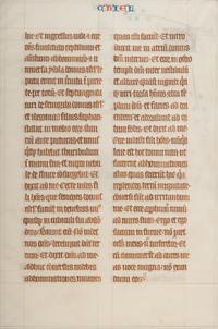[MANUSCRIPT LEAF -- BIBLE]. One leaf on vellum, in Latin. England?, ca. 1250.