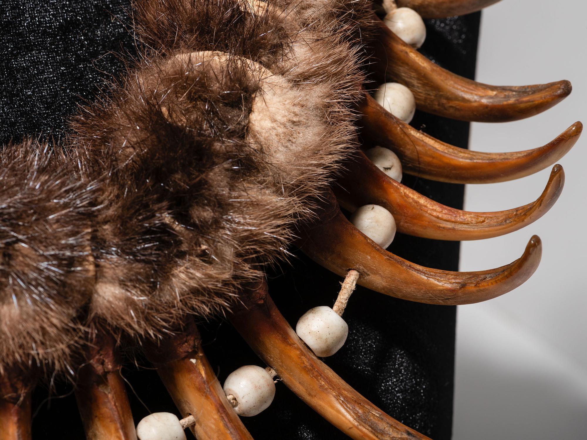 Plains Grizzly Claw Necklace