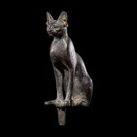 An Egyptian Bronze Cat