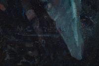 When Drake Saw for the First Time the Waters of the South Sea