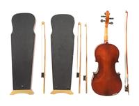 A Group of Five Stringed Instruments