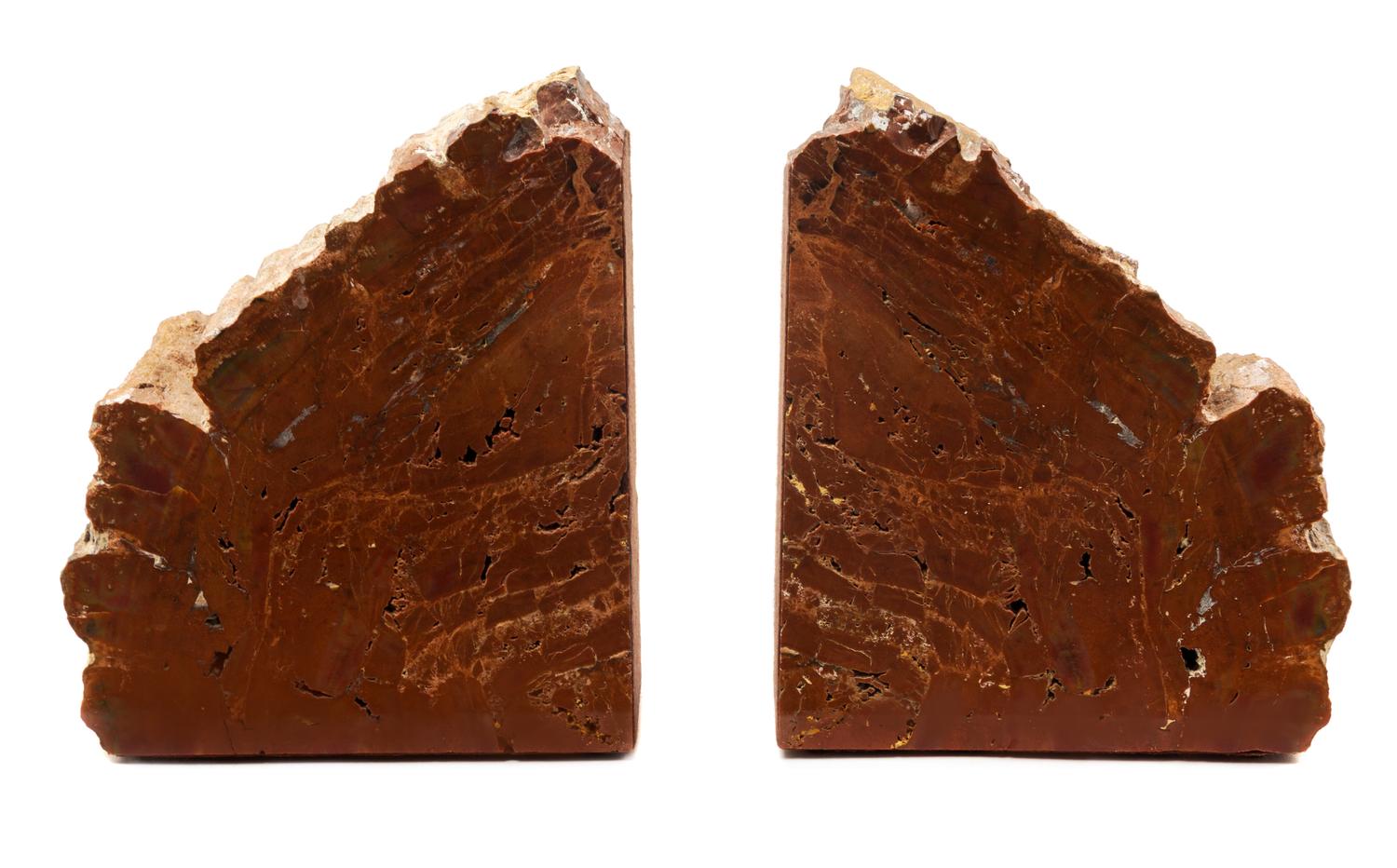 A Pair of Petrified Wood Bookends Height 8 1/2 inches.
