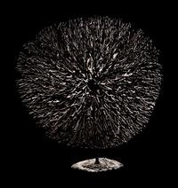 Untitled (Bush)