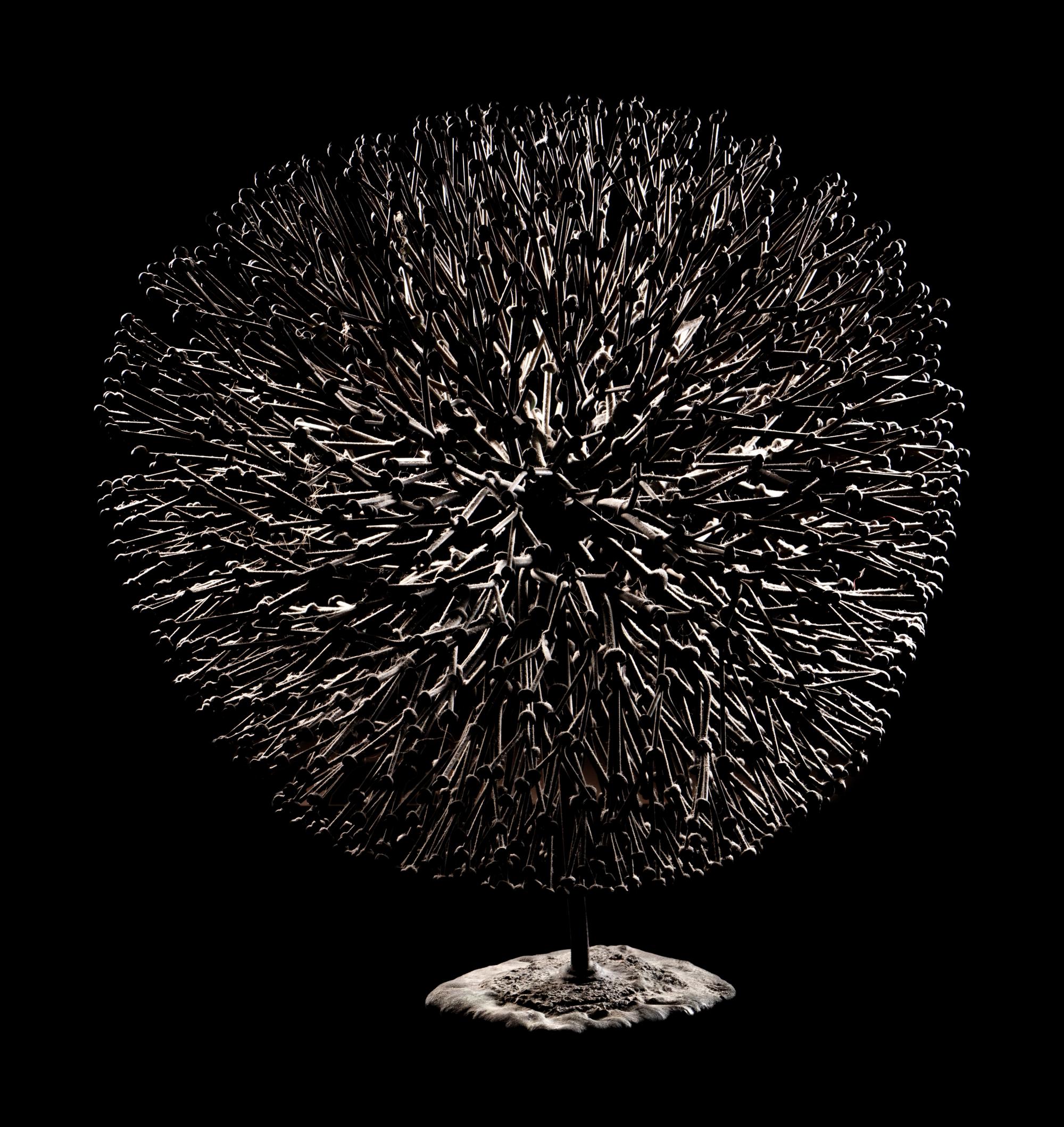 Untitled (Bush)