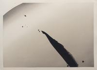 Tao Motion #10