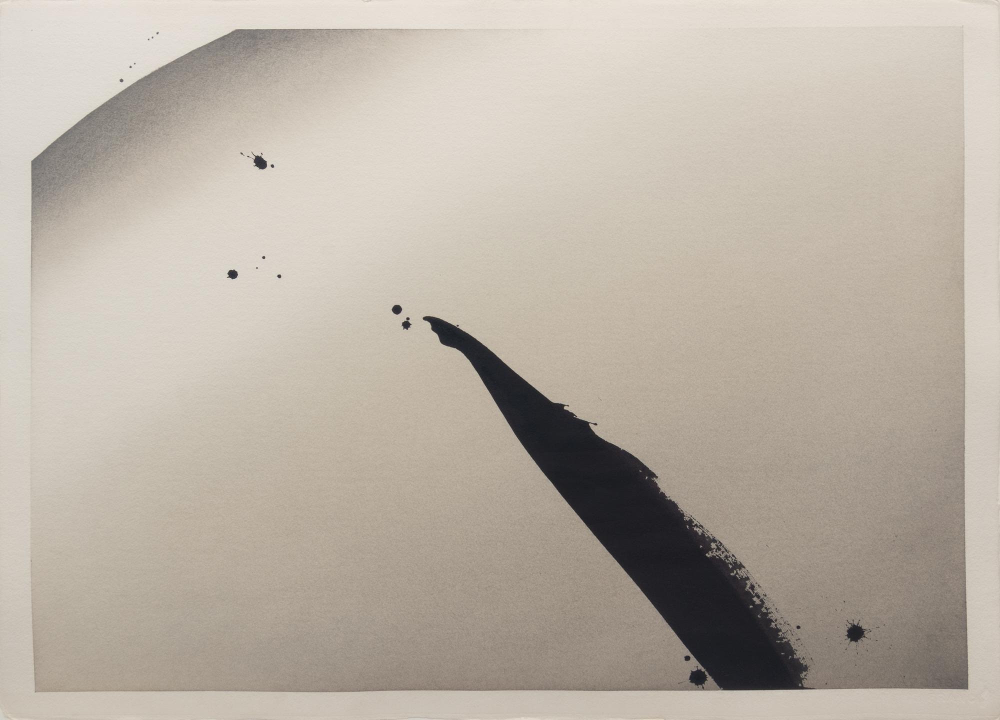Tao Motion #10