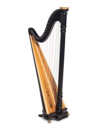 A Lyon & Healy Harp