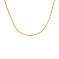 Yellow Gold Chain Necklace and Bracelet