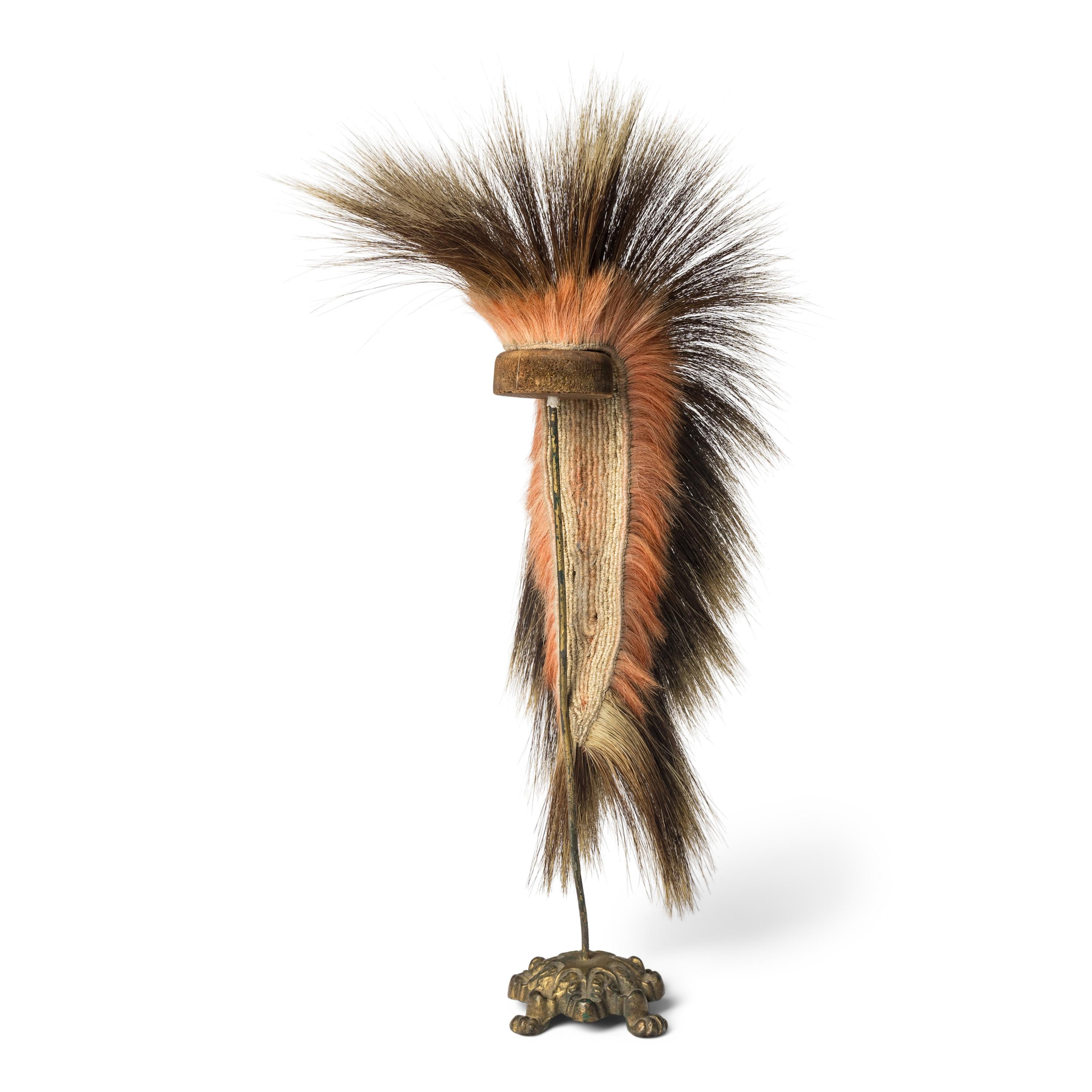 Plains Hair Roach