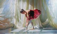 The Recital