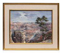 Grand Canyon View