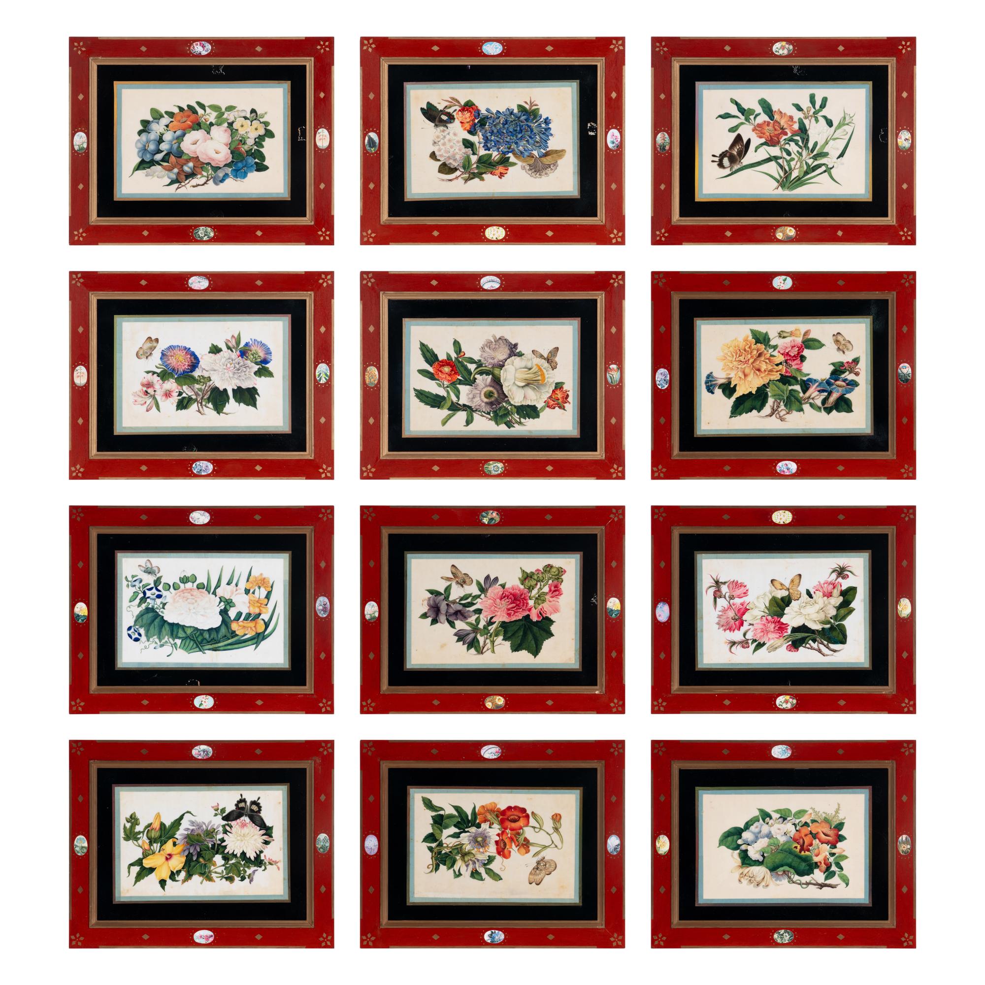A Set of Twelve Chinese Export Watercolor and Pith Botanical Paintings