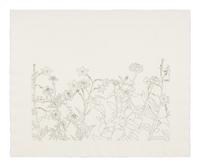 Untitled from Flowers Suite , 1979