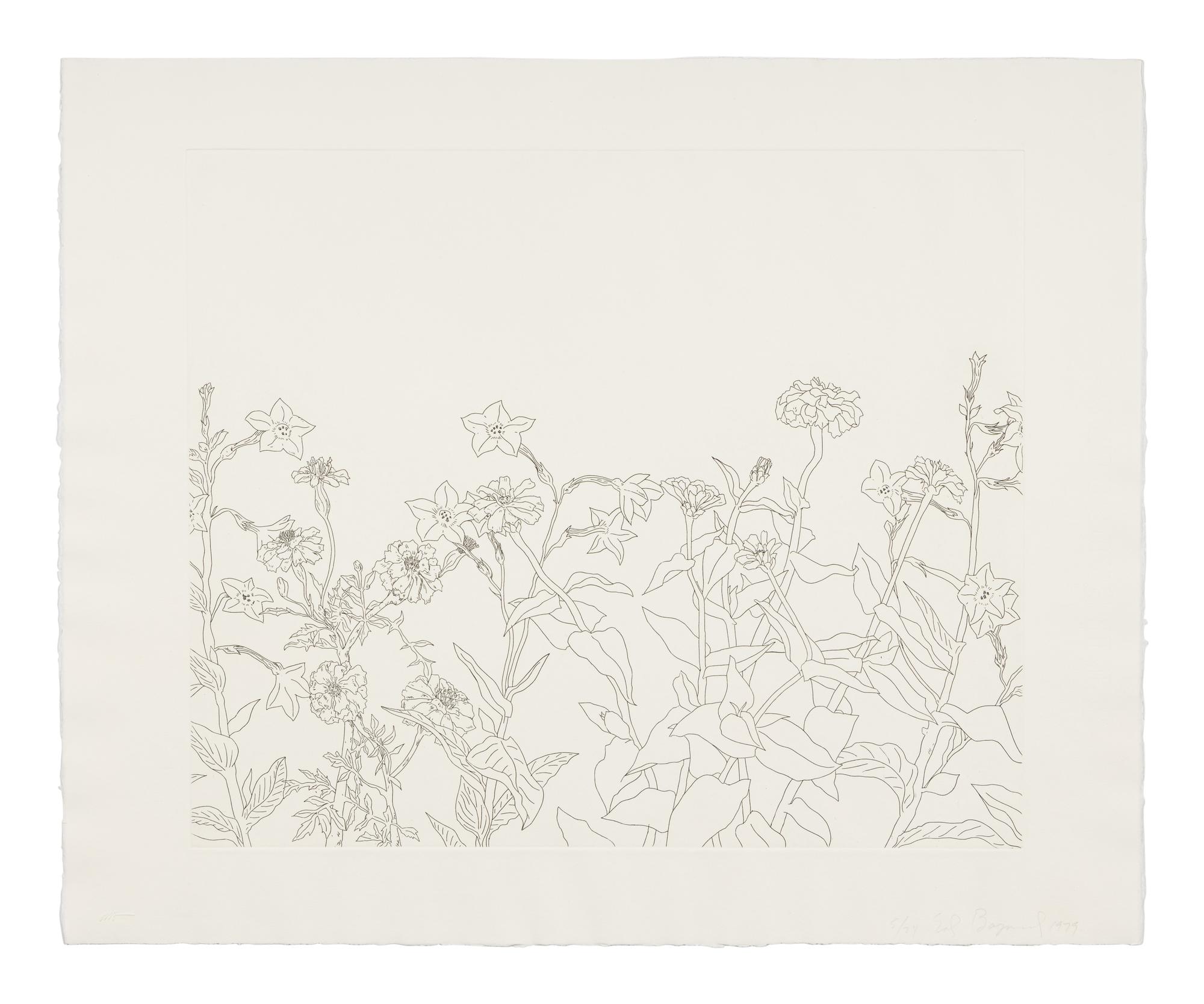 Untitled from Flowers Suite , 1979