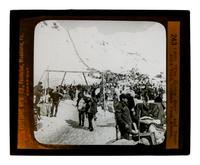 A Collection of Glass Slides