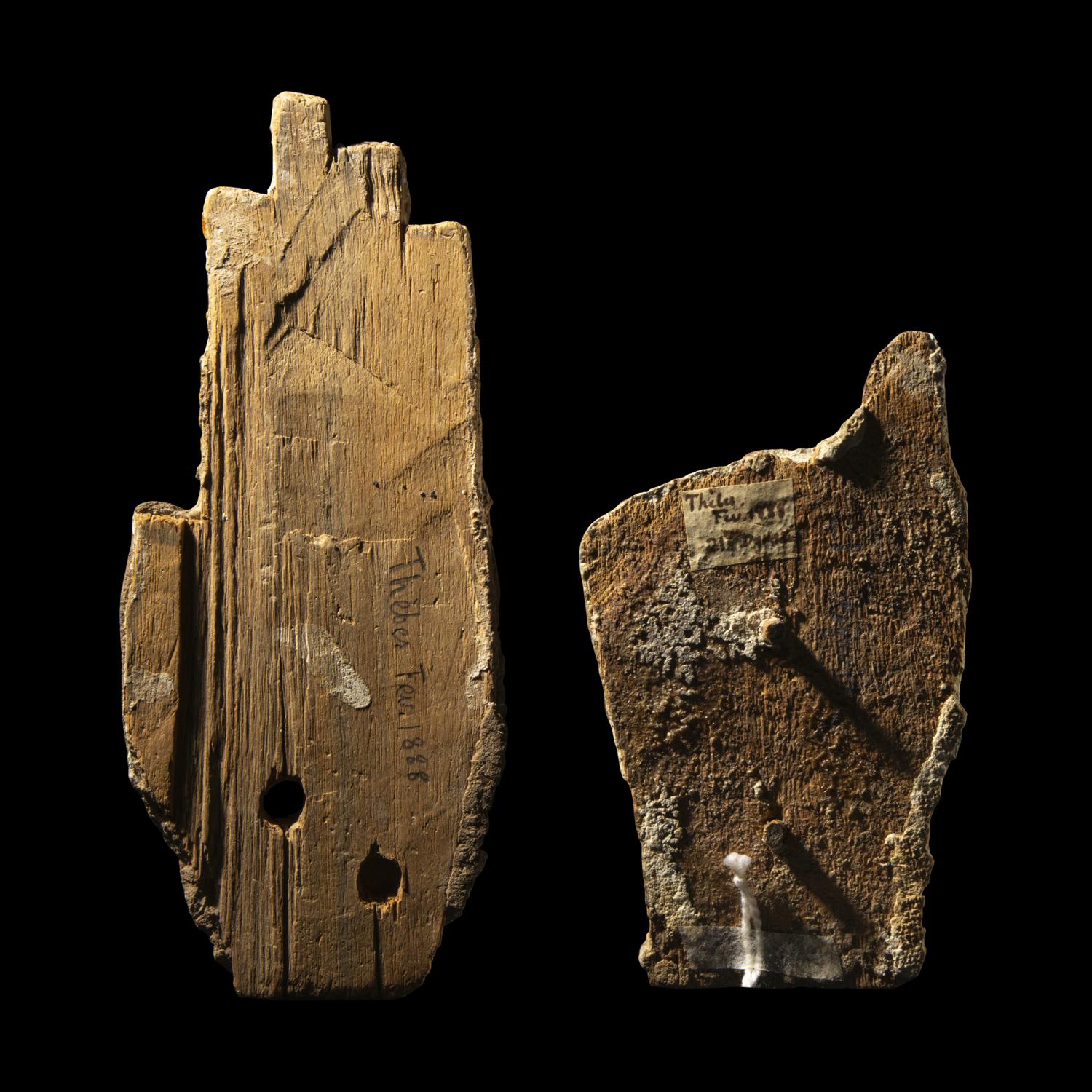 Two Egyptian Wood Hands