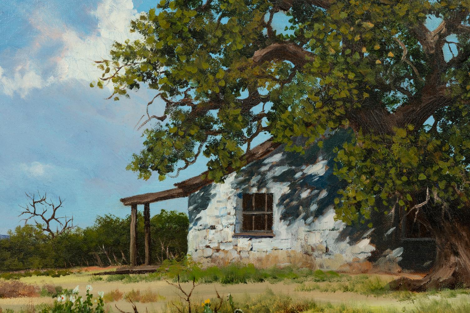Barn and Bluebonnets