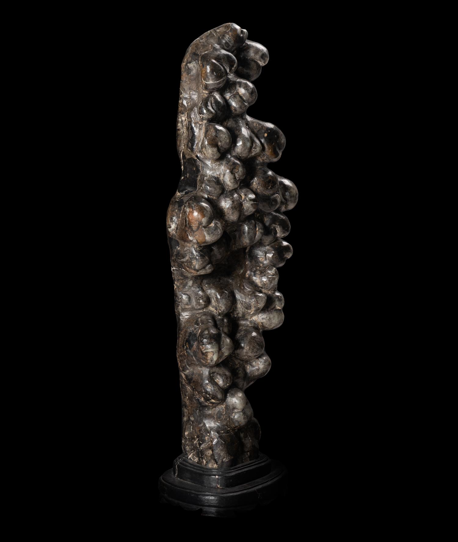 A Chinese Scholar's Rock