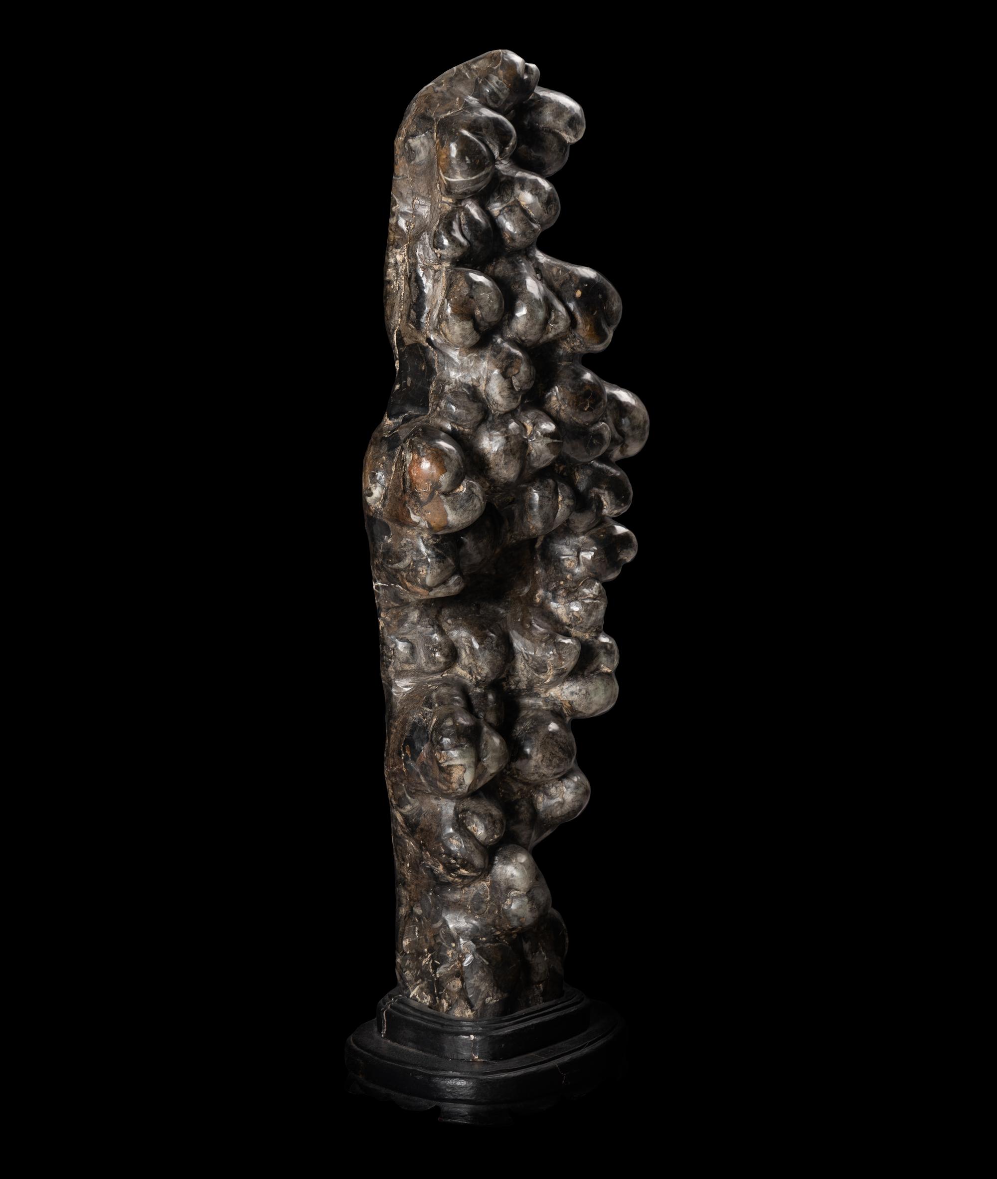 A Chinese Scholar's Rock