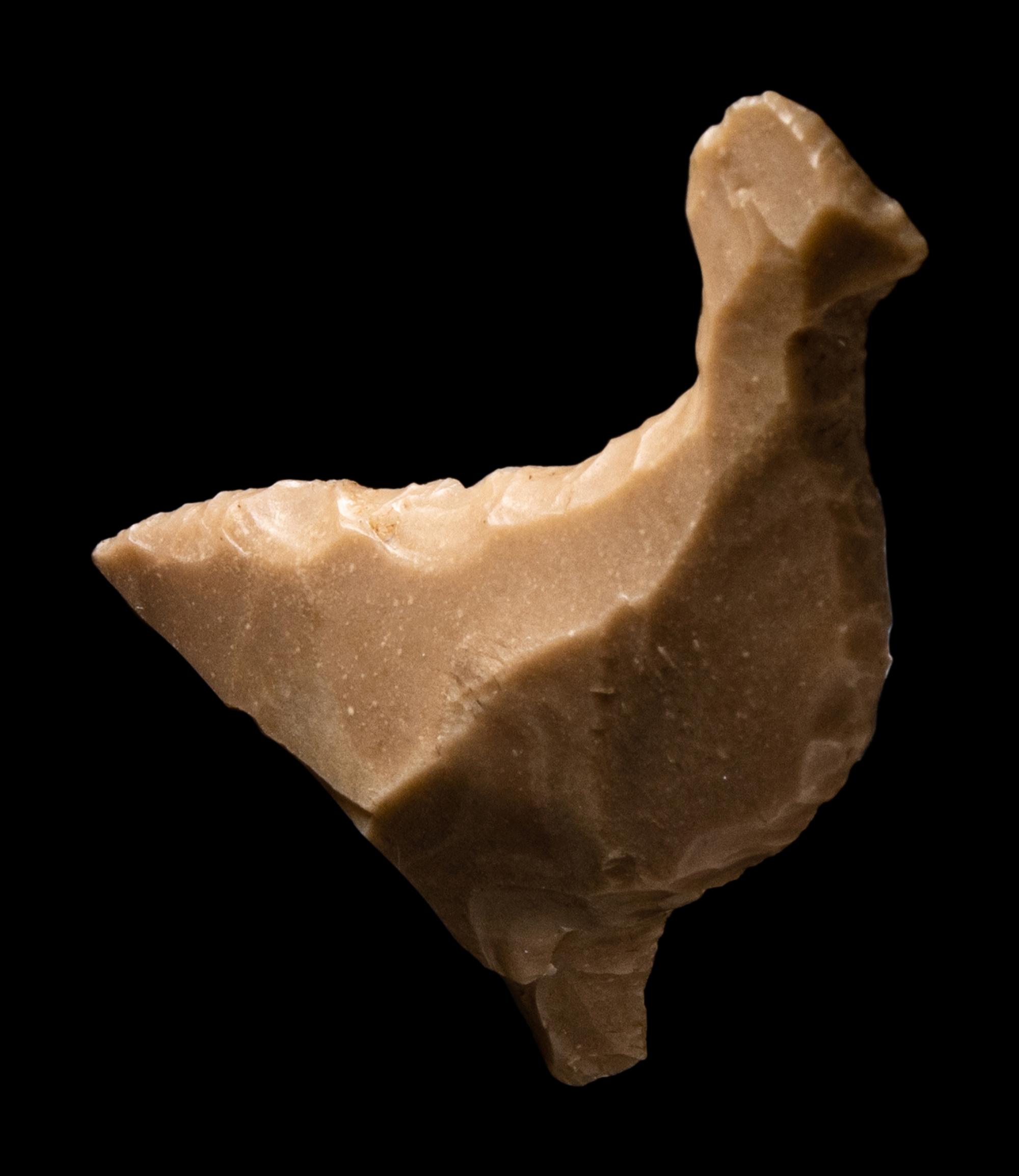 An Egyptian Flint in the Form of a Bird